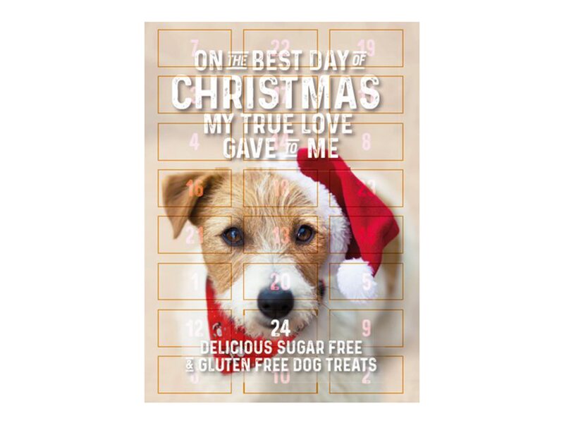 Flamingo Adventní kalendář s pamlsky pro psy 295 g