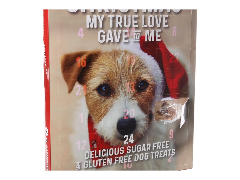 Flamingo Adventní kalendář s pamlsky pro psy 295 g