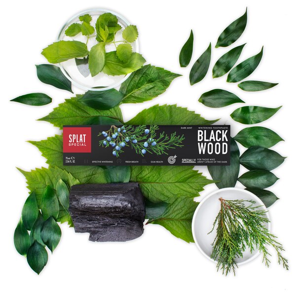 Splat Special Blackwood černá zubní pasta 75 ml Splat Special Blackwood černá zubní pasta 75 ml