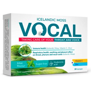 Vocal HA pastilky bez cukru máta 24 pastilek