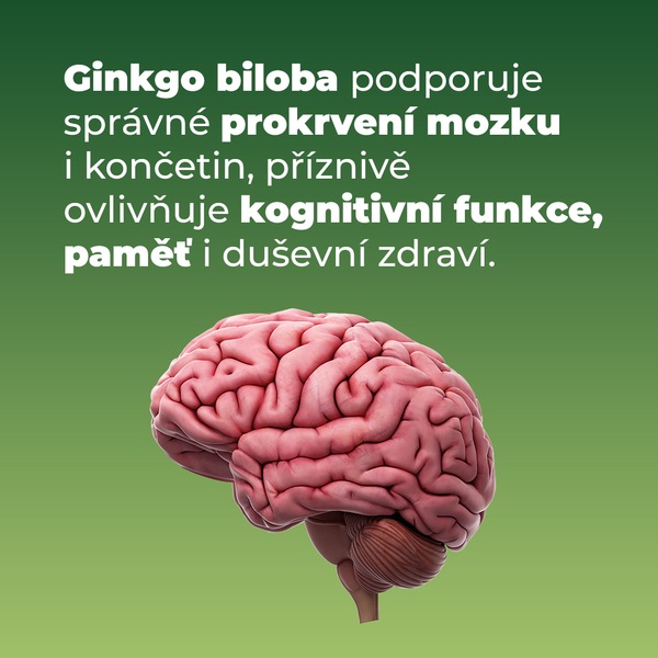 Ginkgo Brainaktiv 60 tbl Vánoční edice 1+1 ZDARMA Ginkgo Brainaktiv 60 tbl Vánoční edice 1+1 ZDARMA