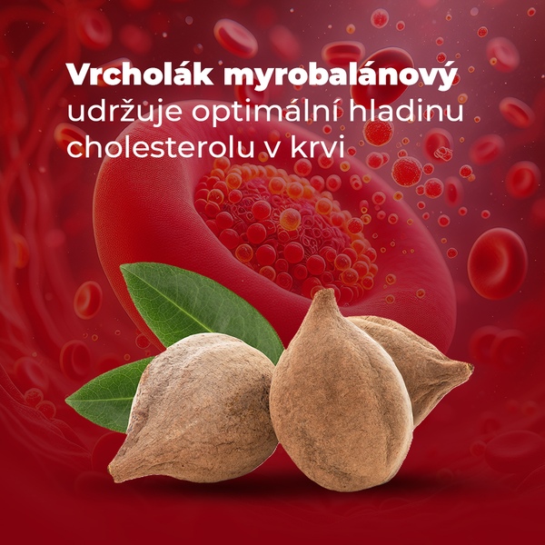 Cholesterol Balance 30+10 tablet NAVÍC