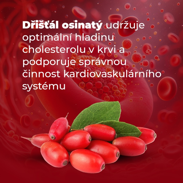 Cholesterol Balance 30+10 tablet NAVÍC