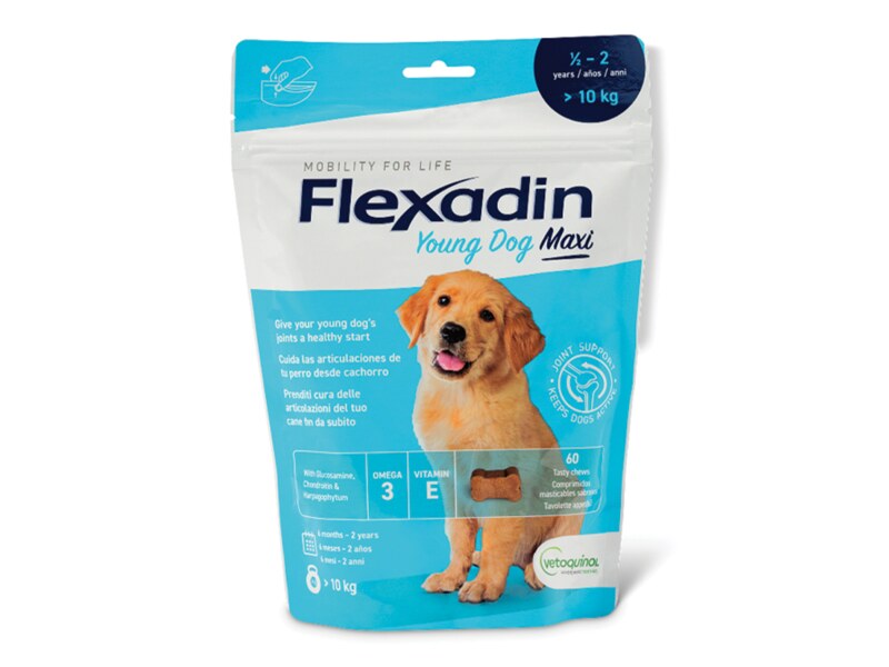 Flexadin Young Dog maxi 60 tablet