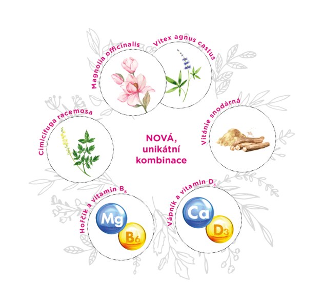 GS Merilin Original 60 tablet