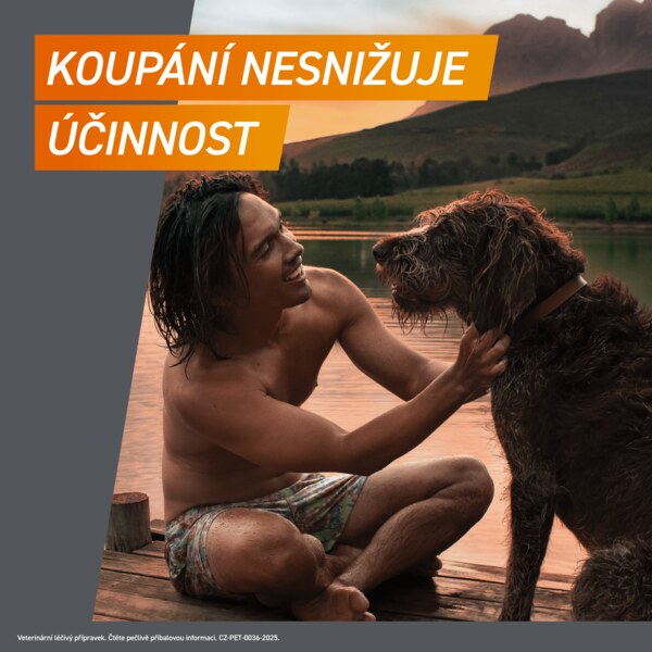 Frontpro žvýkací tablety pro psy (4-10 kg) 28,3 mg 3 tablety