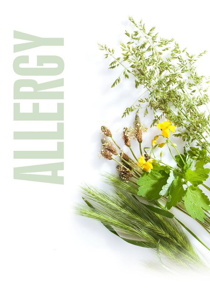 Jak rozpoznat alergii na pyl? - Jak rozpoznat alergii na pyl? Jak rozpoznat alergii na pyl?